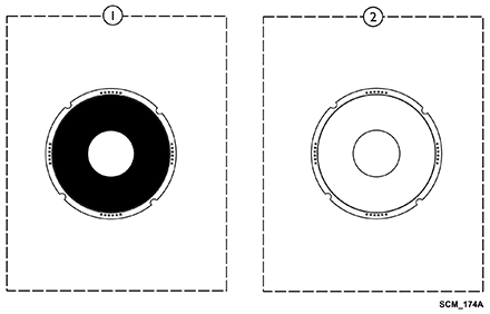 Wheels - Rear - Spoke Protectors